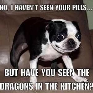 Meet your Posher, Jesse